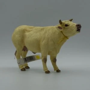 Kráva Charolais