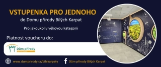 Vstupenka pro jednoho (pro jakoukoliv věkovou kategorii)